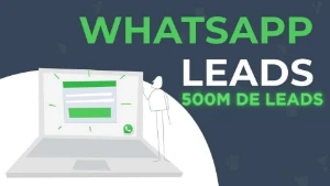 500M De Leads Numeros  - Outros