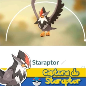 Staraptor - Pokémon Go