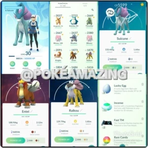 Conta Pokémon Go lvl 30 Time Azul ENTEI, RAIKOU e SUICUNE
