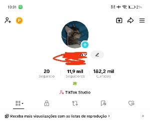 Conta Tik Tok Com Mais De 10K De Seguidores Monetizando - Redes Sociais