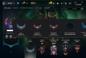 Bronze 2 com TODOS os Champs e 304 Skins +6 Prestigios