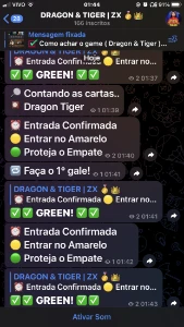Dragon tiger ✅🔰🐯🐯 - Outros
