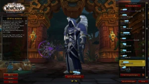 Conta World Of Warcraft (Conta Blizzard).