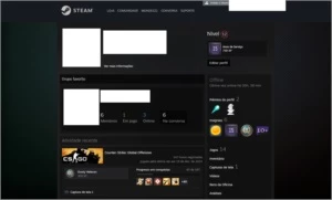 Conta Steam 15 anos lvl 12 e CS:GO PRIME (AK1/OURO) - Counter Strike