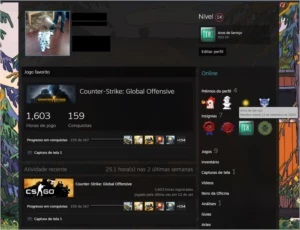 CSGO PRIME SUPREMO 18 ANOS - Counter Strike