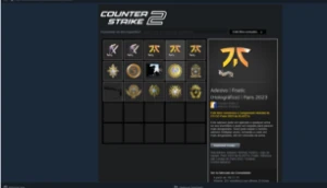 Conta Cs2 Com 8 Medalhas E Horas + 100 Reais Skin - Counter Strike