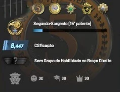 Conta Cs2 Prime + 8K Pontos Premier + 5 Medalhas + 1000 Hrs - Counter Strike