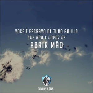ALPHALIFE PREMIUM - PARTE 2 (DESENVOLVIMENTO PESSOAL) - Cursos e Treinamentos