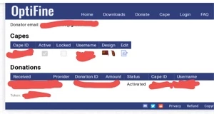 Capa OptiFine (Login/senha painel) - Minecraft