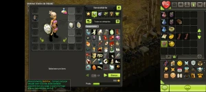 Dofus touch cra e iop 200 - Outros