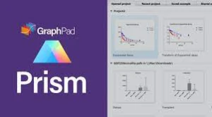 GraphPad Prism Vitalício 2023 - Softwares e Licenças