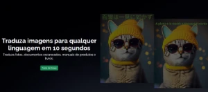 Assinatura premium, 300 créditos PicTranslate - Assinaturas e Premium