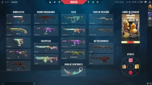 Conta barata NA MD5 (MMR PLAT 2) full acesso no preço - Valorant