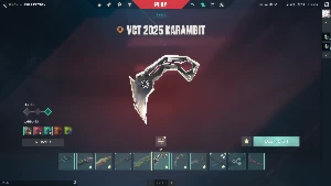 Valorant Dono Único/Full Acesso/4 Vandal/ 5 Facas /2 Phantom