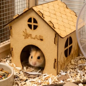 Casinha Simples para Hamster - Flap Pet - Artesanato e Personalizados