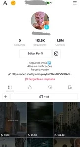 conta tik tok +100K de seguidores - Redes Sociais