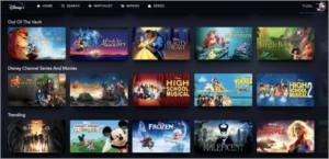STARZPLAY + DISNEY LOGIN PREMIUM - Assinaturas e Premium