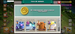 Cv14 5 Skins 6 Construtores ÚNICO DONO - Clash of Clans