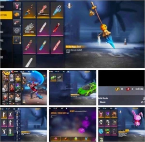 Conta com algumas coisas +13 salas - Free Fire