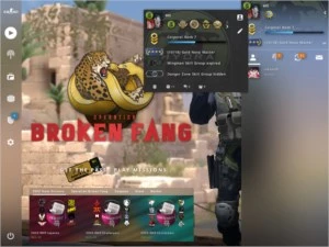 CONTA STEAM CSGO - 6 MEDALHAS 700 VITÓRIAS MM