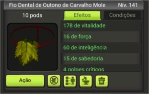Set Int Dofus Touch (Brutas)