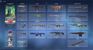 CONTA PLATINA 2 -VANDAL- SAQUEADORA, SENTINELA, DRAGAO E VAR - Valorant