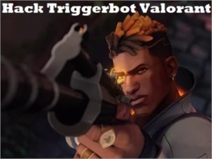 Hack Triggerbot Valorant
