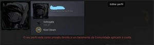 CONTA STEAM COM CSGO E MTS JOGOS (community ban)
