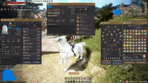 Conta Black Desert Pot Hp E Mana Shai 62 639 Gs