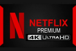 Netflix 4K | (Tela Privada 30 Dias) - Entrega Automática