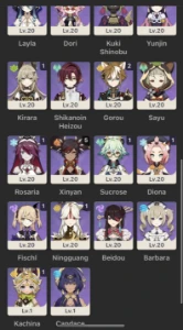 Ar56. Raiden c3 + bis, Xianyun c2, Xiao, Furina, Yae Miko, a - Genshin Impact