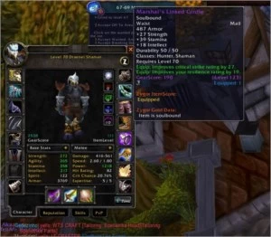 CONTA WOW CLASSIC shaman enhancement FULL BIS COM ITENS ROXO - Blizzard