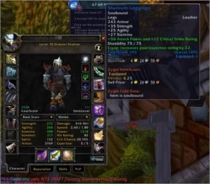CONTA WOW CLASSIC shaman enhancement FULL BIS COM ITENS ROXO - Blizzard