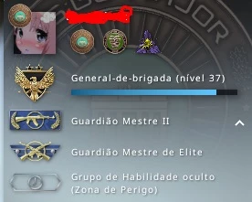 Conta steam de cs 8 anos com 4 medalhas