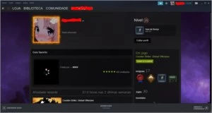 Conta steam de cs 8 anos com 4 medalhas