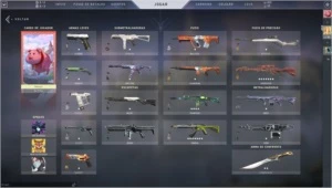 Conta de valorant muitas skins e facas!
