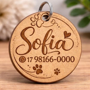 Kit Pet Personalizado com RG e Plaquinha - Artesanato e Personalizados