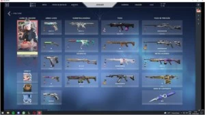 Conta Valorant 750 Reais gastos
