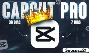 (Mais Barato Da Dfg) Cap Cut Pro 30/7 Dias Privado - Premium