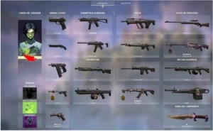 CONTA VALORANT + COLEÇAO SAQUEADOR COMPLETA - Outros