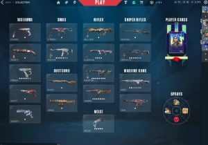 Conta de valorant nfa com karambit ion!