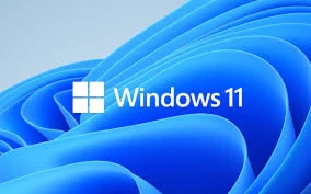 Windows 11 PRO ativação - Softwares and Licenses