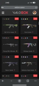 Conta valorant 5k+ gastos