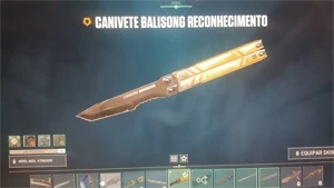 Conta valorant 44 skins / 3 knives + Level 88 Gold l