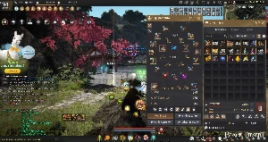 BDO barraca Pay to win, set boss pen - Black Desert