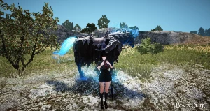 BDO barraca Pay to win, set boss pen - Black Desert