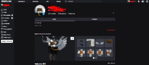 Conta Roblox 2010 masculina FA