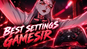 🔥 Overwatch 2 Settings — Gamesir 🔥  Want To Improve - Blizzard