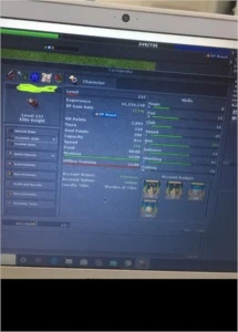 Vendo Master Sorcerer 297 ml 100 - Tibia