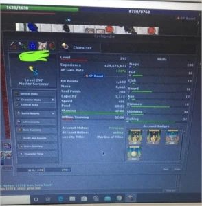 Vendo Master Sorcerer 297 ml 100 - Tibia